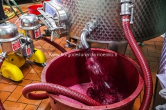 Cantina_17