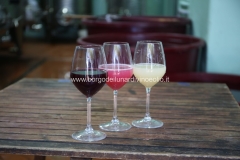 Cantina_4