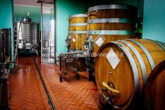 Cantina_5