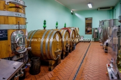 Cantina_7